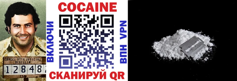 Купить закладки  Мензелинск  COCAIN Fish Scale 