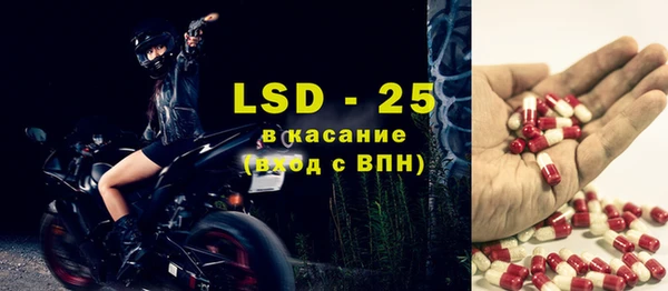 PSILOCYBIN Липки