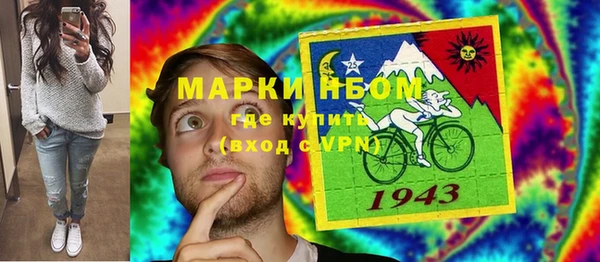 PSILOCYBIN Липки