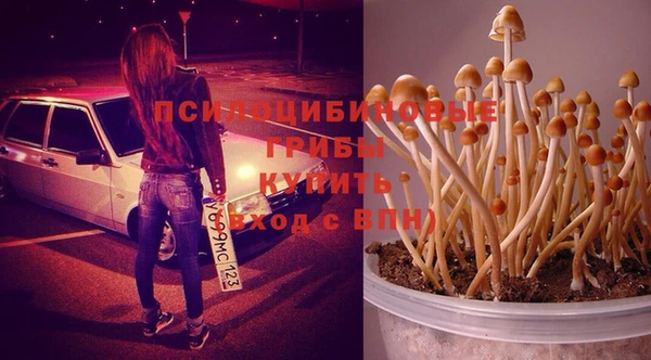 PSILOCYBIN Липки