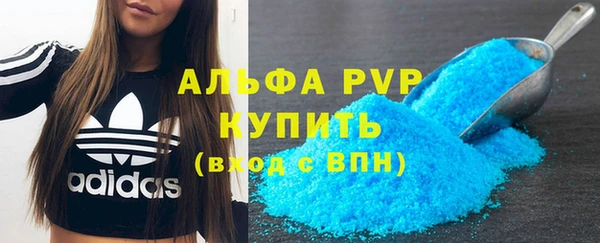 PSILOCYBIN Липки